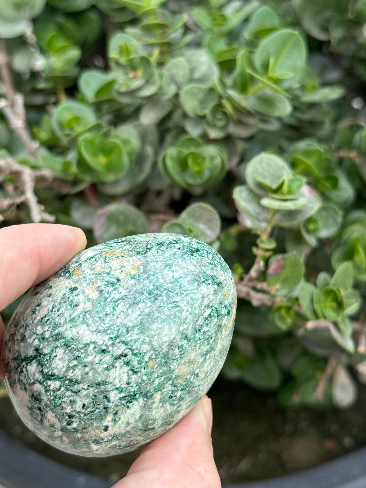 Hand Carved Green Aventurine Crystal Egg Polished Stone Heart Chakra