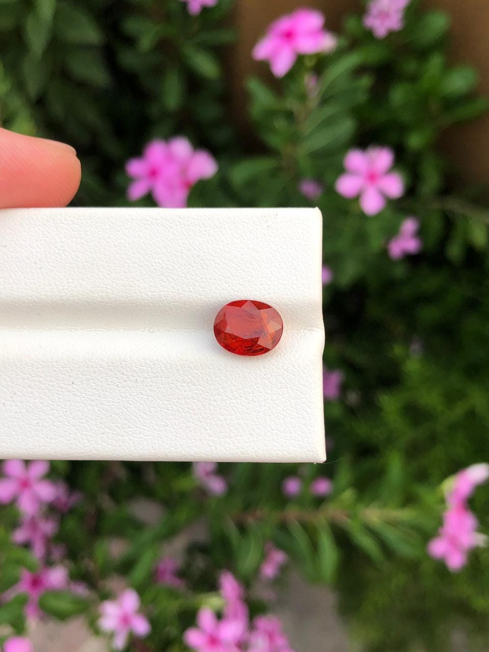 Natural Spessartite Garnet Gemstone  Faceted Oval  Orange Garnet for Custom Jewelry  Collectors