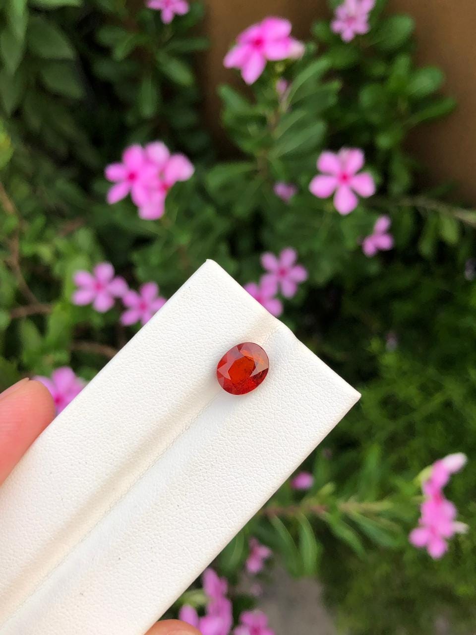 Natural Spessartite Garnet Gemstone  Faceted Oval  Orange Garnet for Custom Jewelry  Collectors