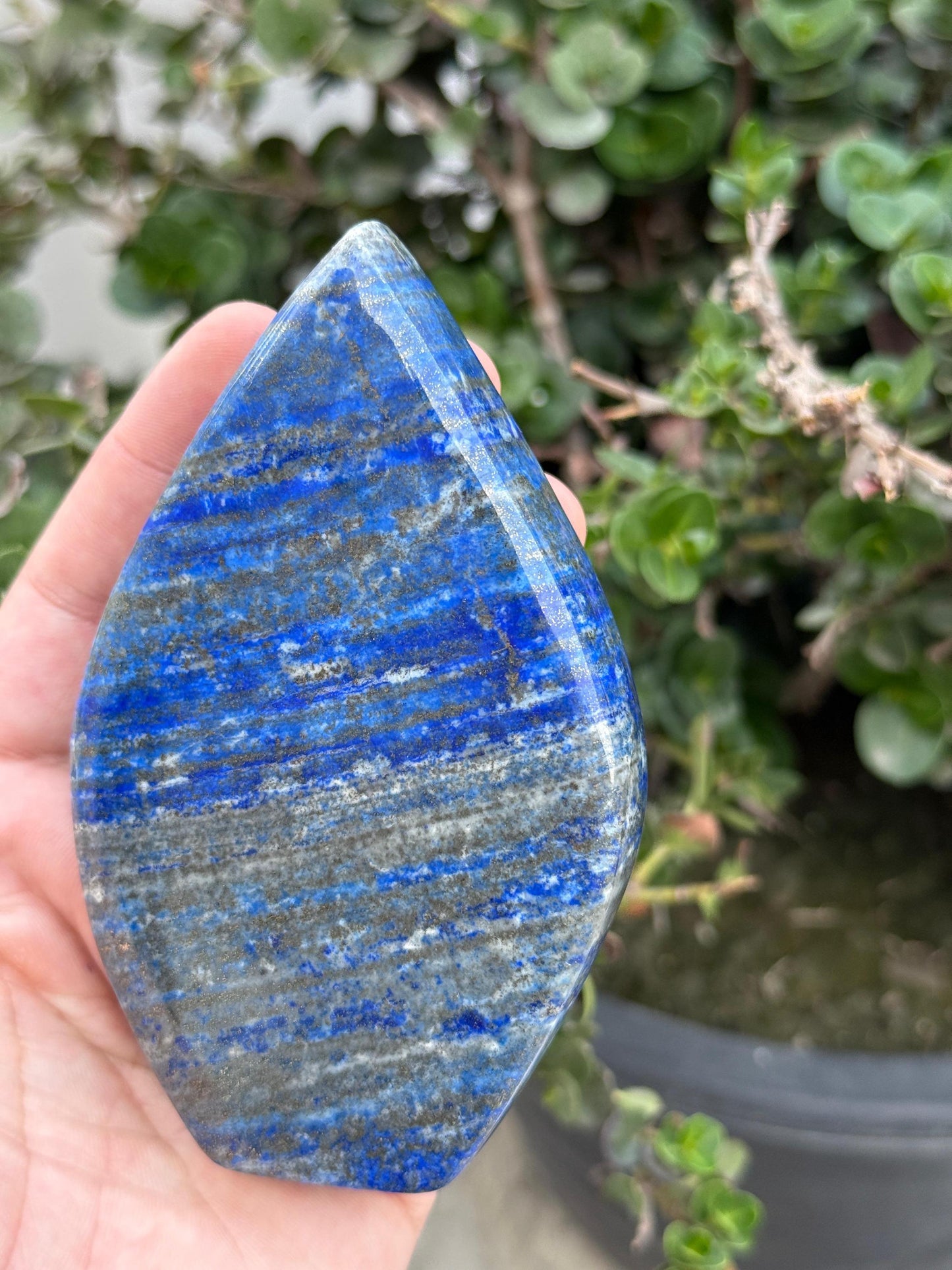 AAA Grade Lapis Lazuli Gemstone  2000 Carats Afghanistan Stone of Wisdom