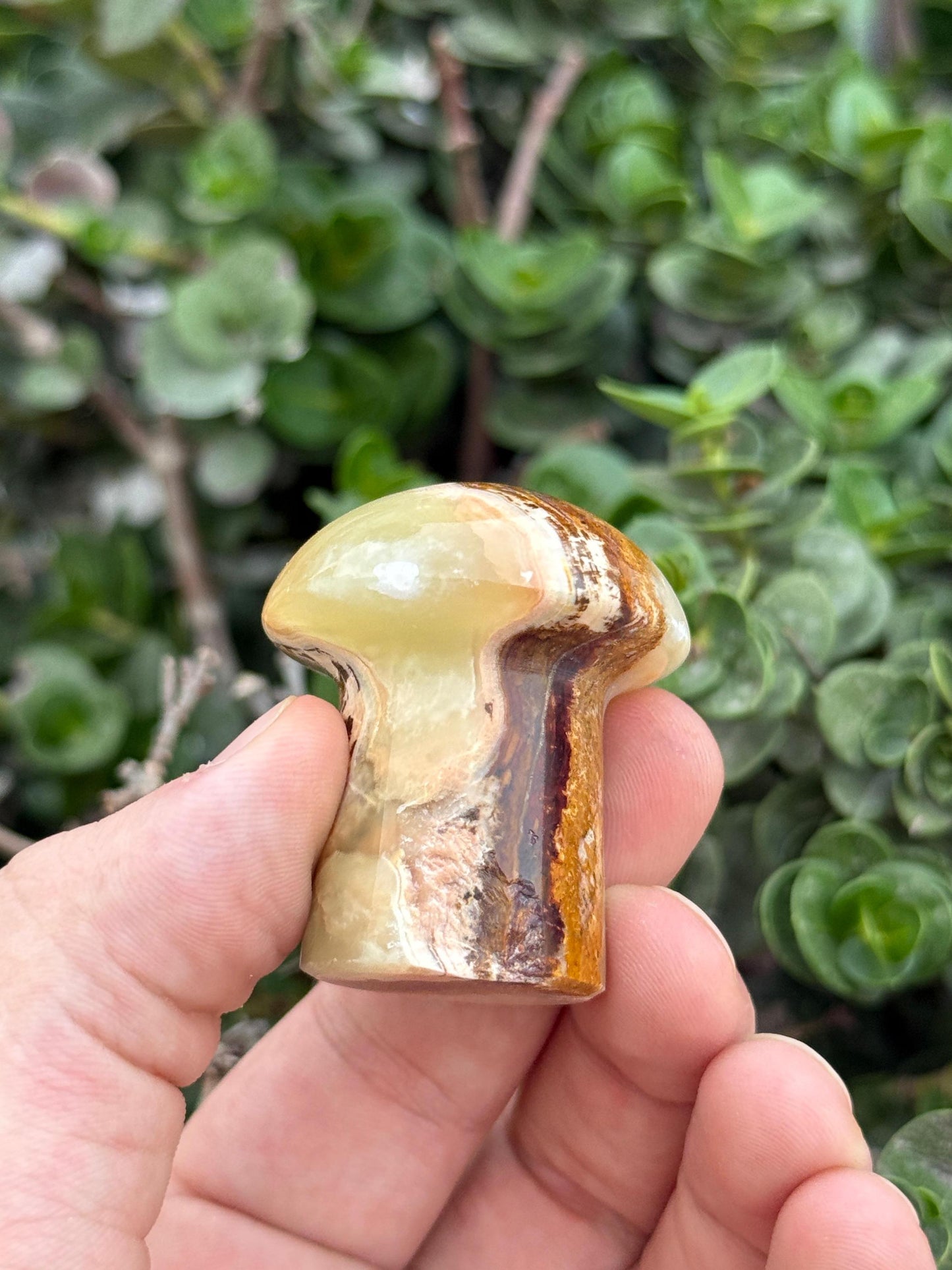 Natural Onyx Mushroom  Hand-Carved Crystal Decor  Healing Stone  Spiritual Gift