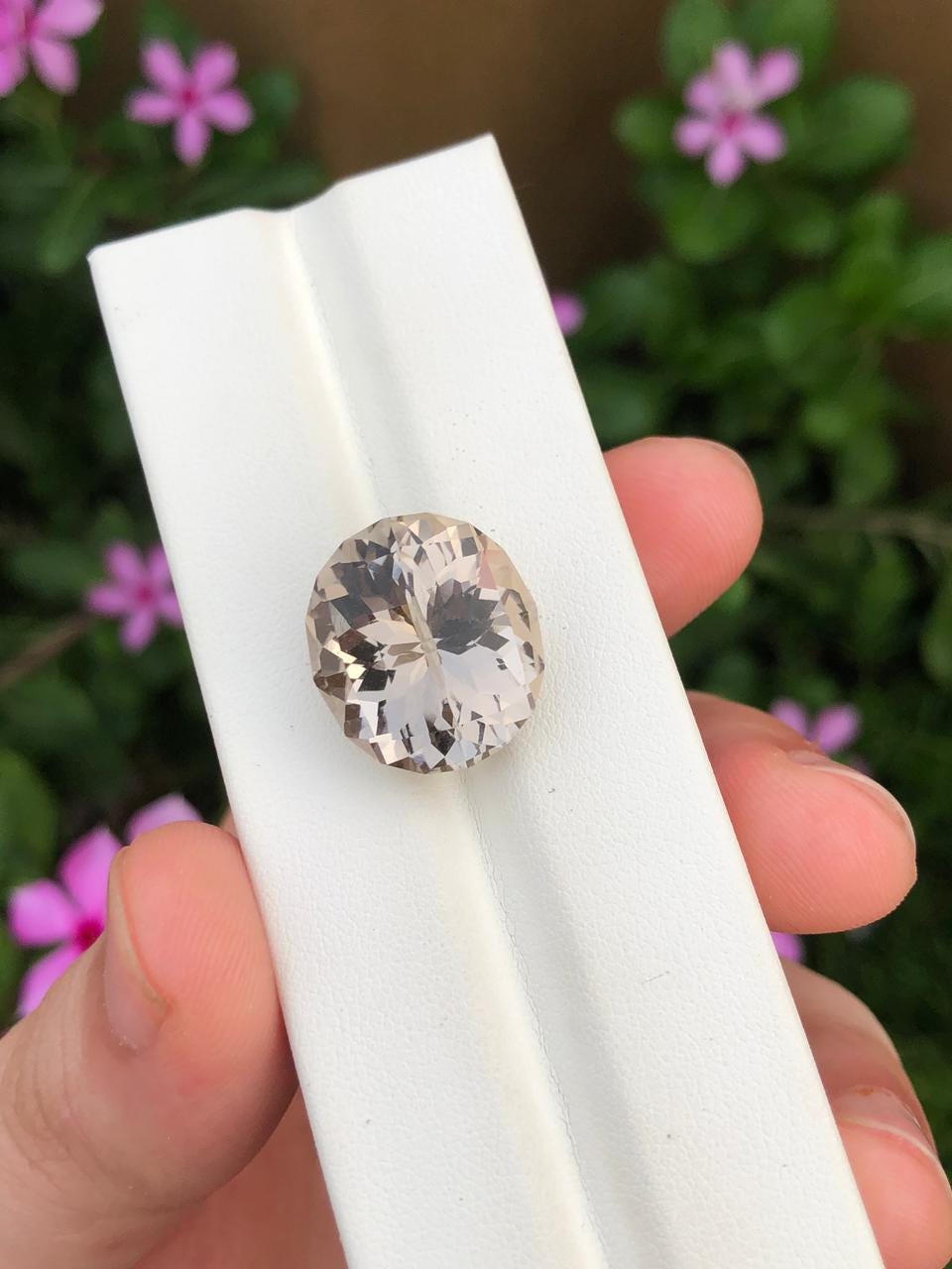 Natural Skardu Topaz Gemstone  Faceted Oval  Loose Pakistan Topaz for Jewelry  Collectors