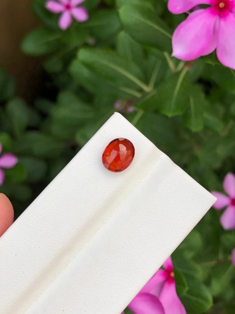 Natural Spessartite Garnet Gemstone  Faceted Oval  Orange Garnet for Custom Jewelry  Collectors