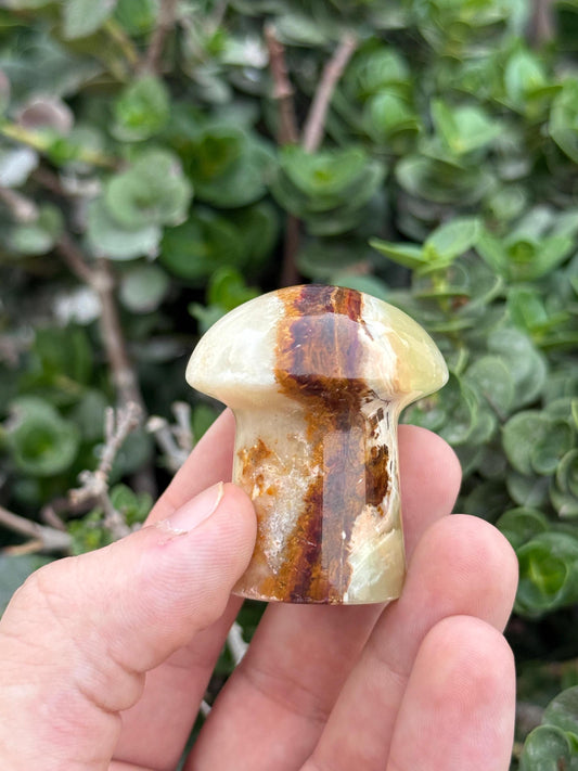 Natural Onyx Mushroom  Hand-Carved Crystal Decor  Healing Stone  Spiritual Gift