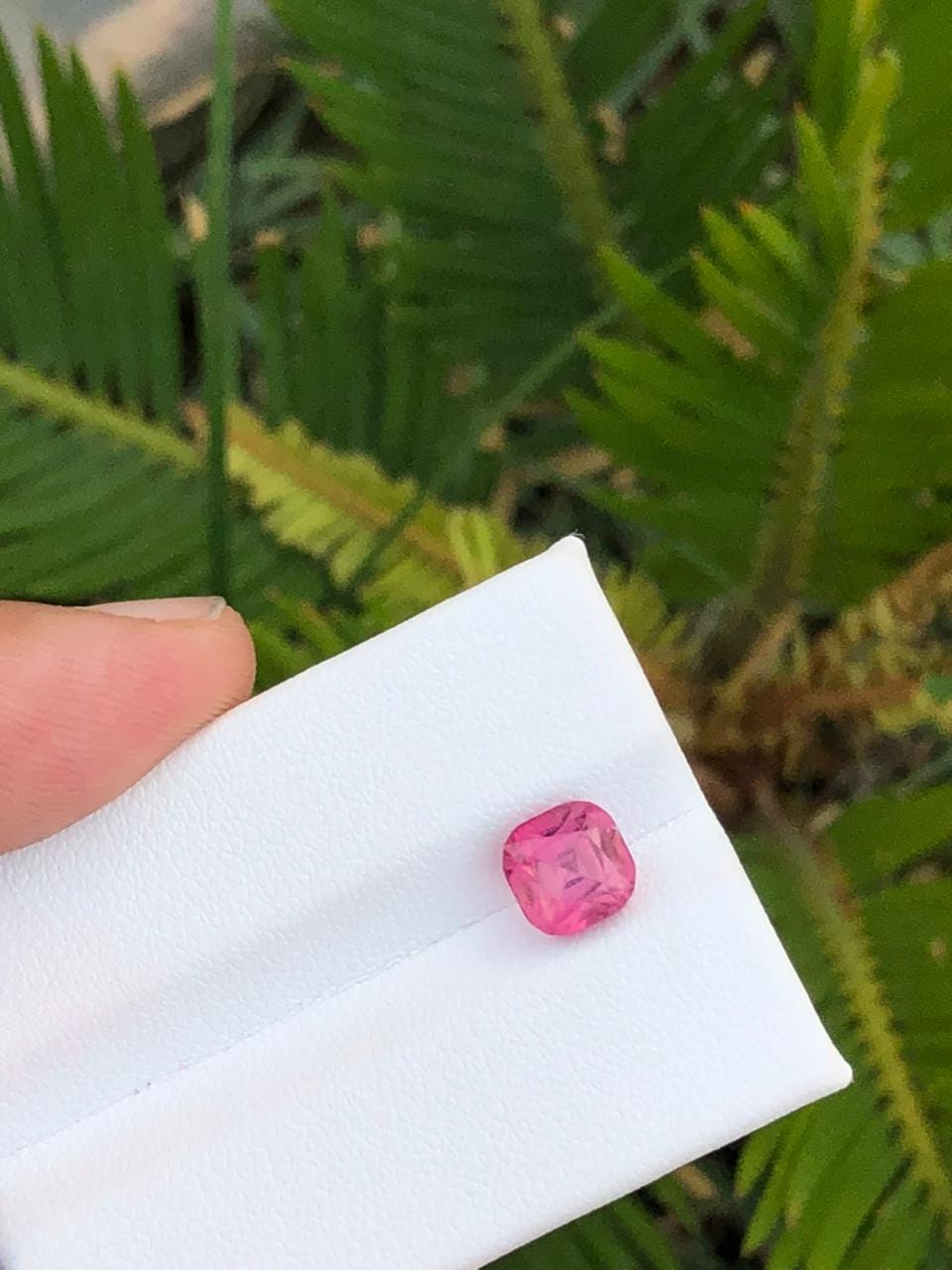 Lustrous Axinite Crystal Cluster on Allrite  Rasko Mine Pakistan