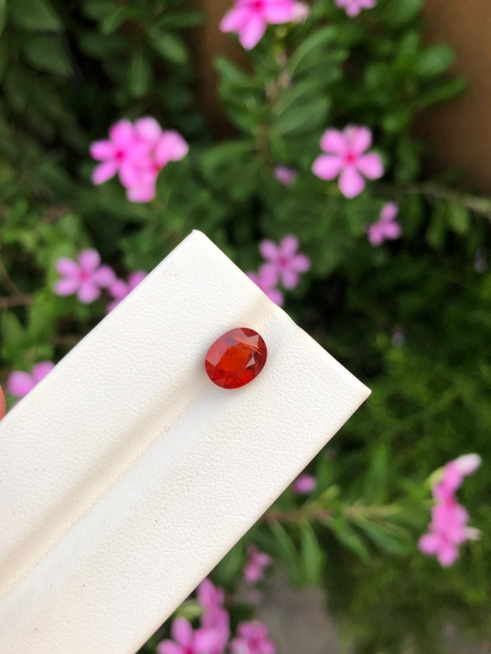 Natural Spessartite Garnet Gemstone  Faceted Oval  Orange Garnet for Custom Jewelry  Collectors