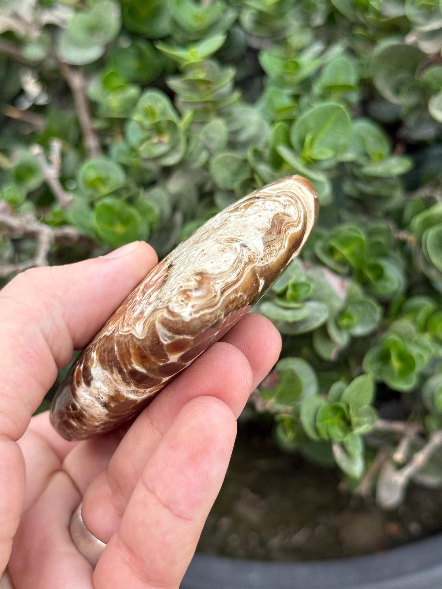 Septarian Heart Crystal Natural Polished Dragon Stone (1028g)