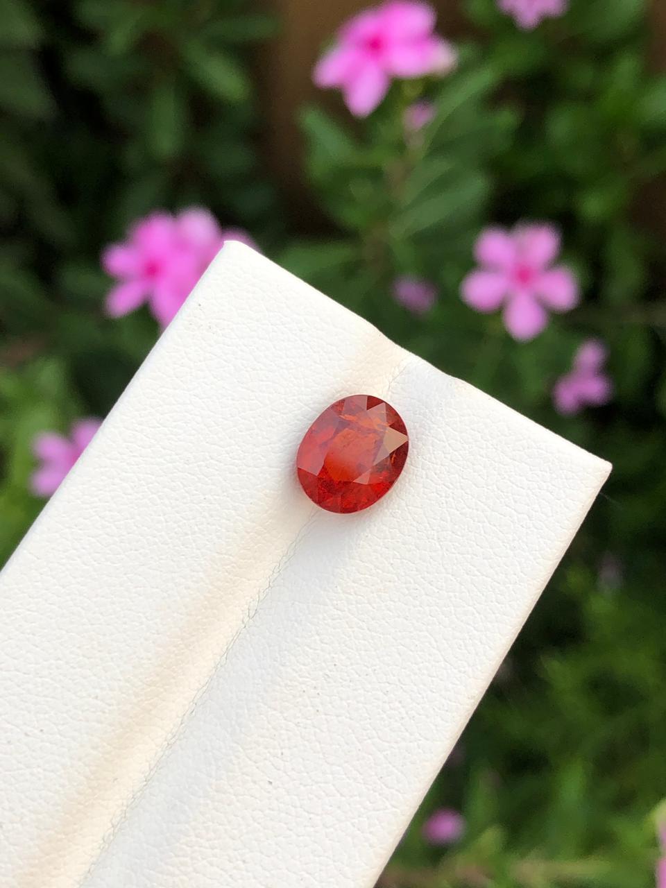 Natural Spessartite Garnet Gemstone  Faceted Oval  Orange Garnet for Custom Jewelry  Collectors