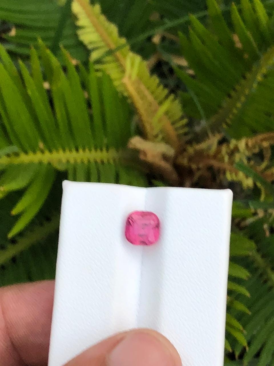 Lustrous Axinite Crystal Cluster on Allrite  Rasko Mine Pakistan