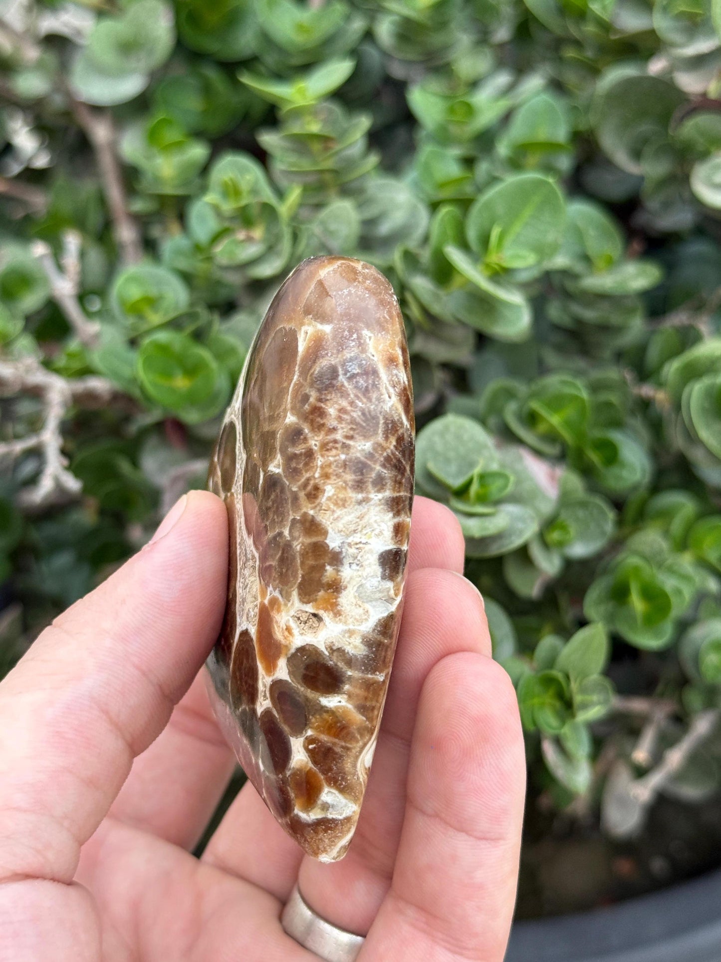 Septarian Heart Crystal Natural Polished Dragon Stone (1028g)