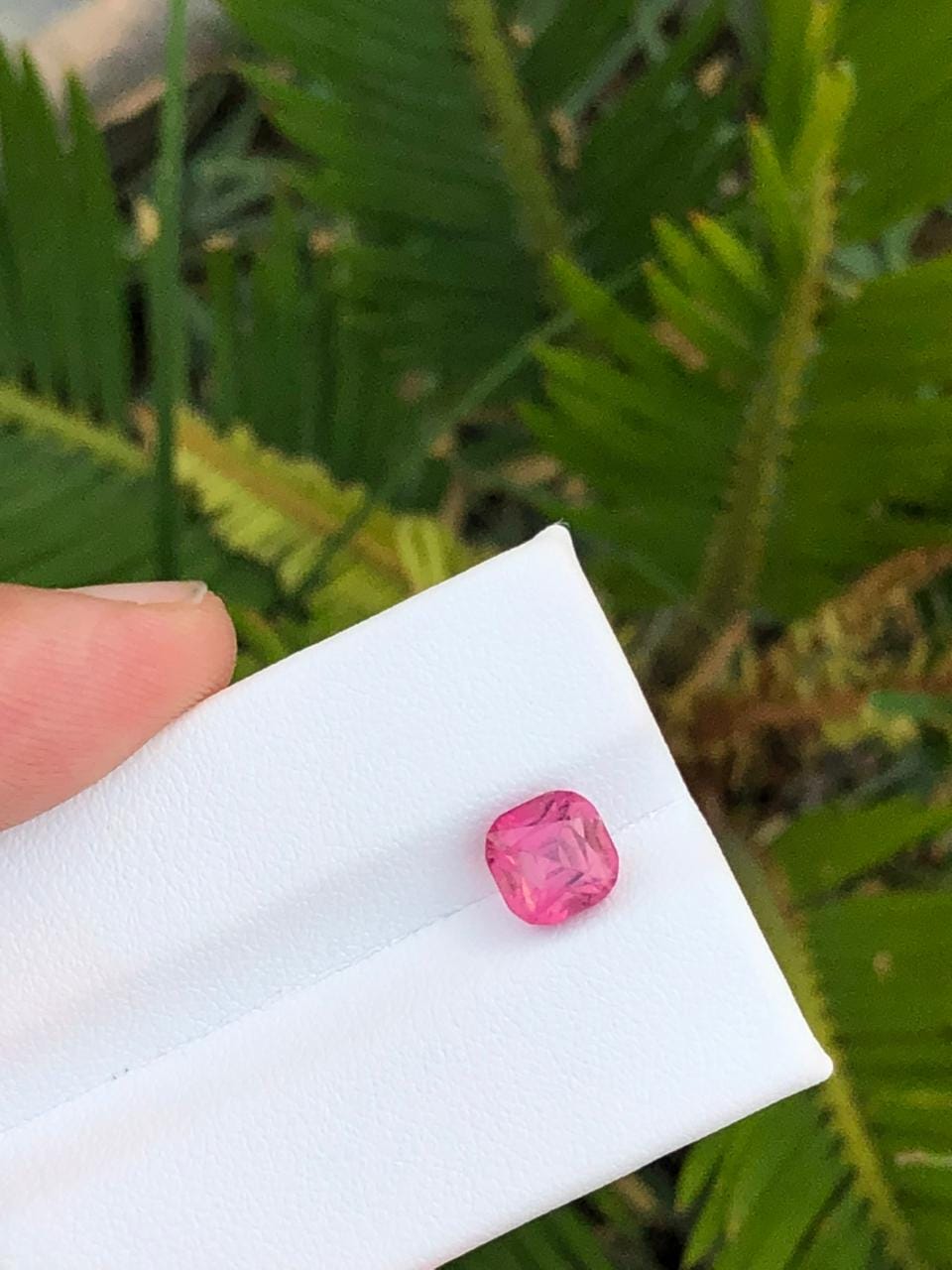 Lustrous Axinite Crystal Cluster on Allrite  Rasko Mine Pakistan