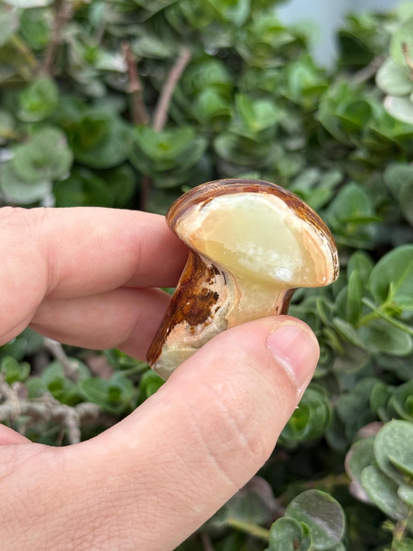 Natural Onyx Mushroom  Hand-Carved Crystal Decor  Healing Stone  Spiritual Gift