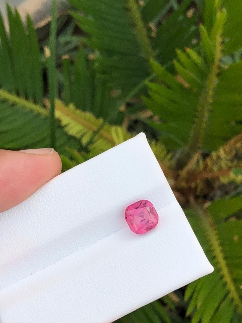 Lustrous Axinite Crystal Cluster on Allrite  Rasko Mine Pakistan