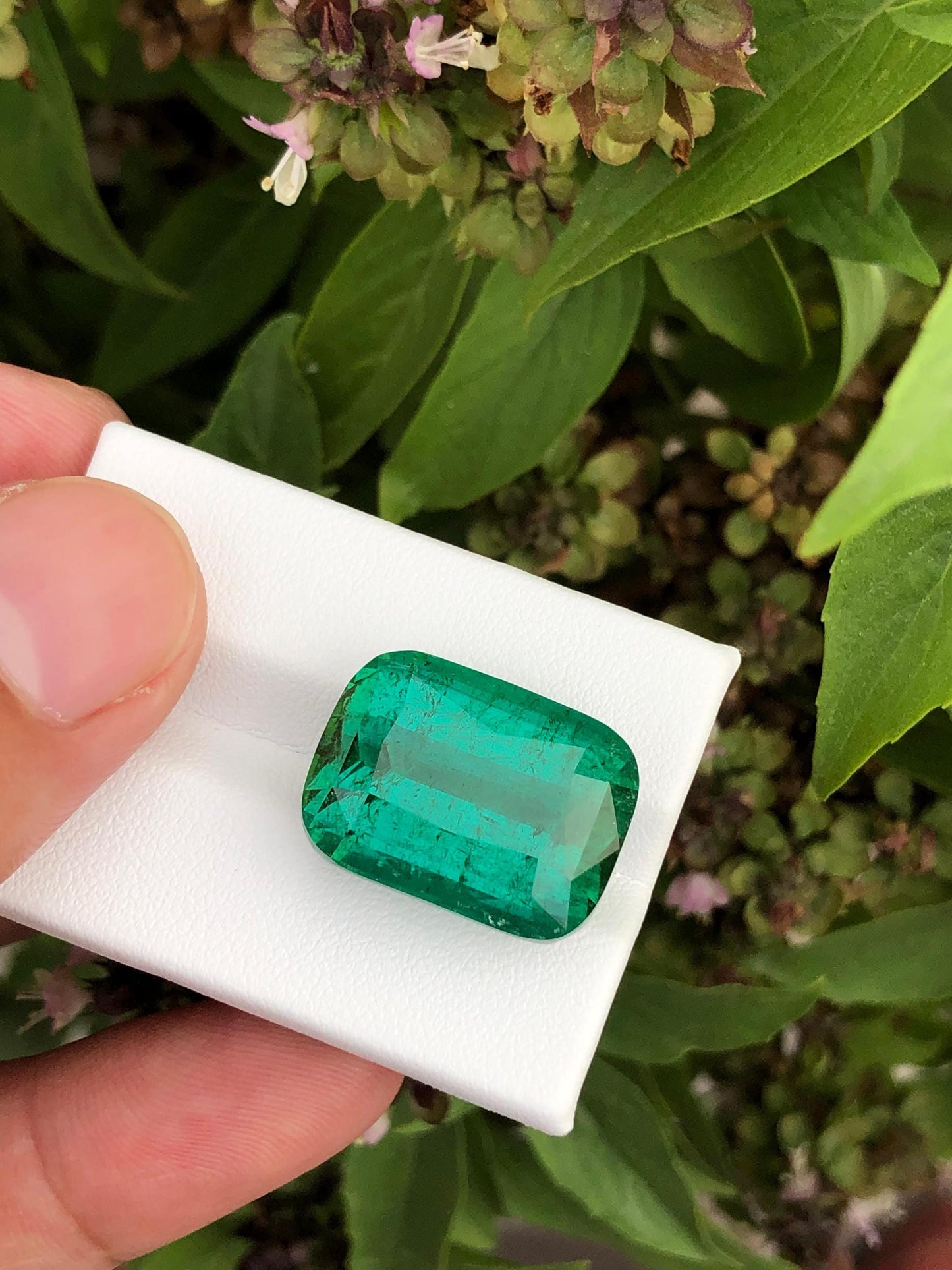 Natural Tourmaline  Loose Gemstone  Faceted Crystal for Custom Fine Jewelry