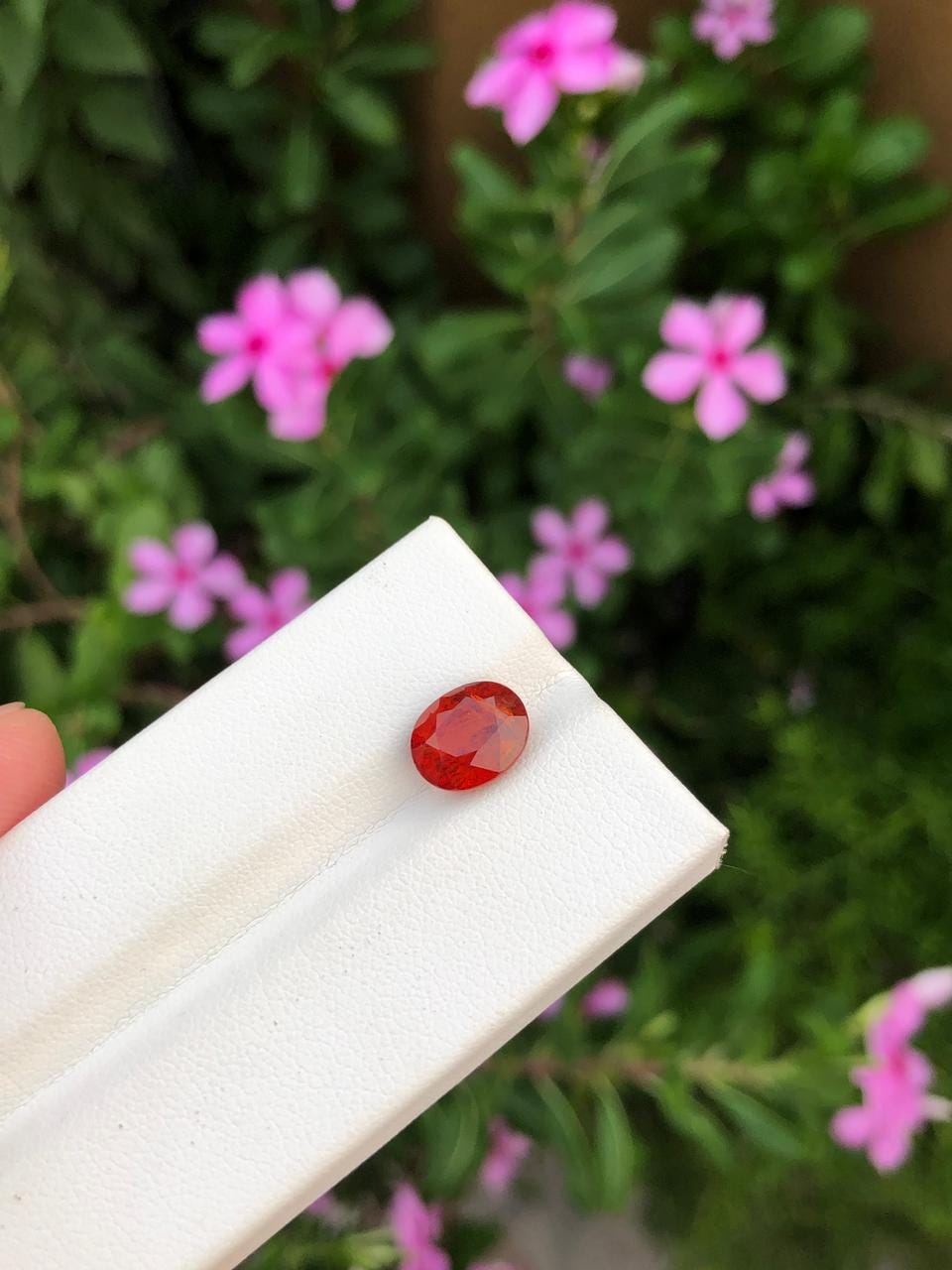 Natural Spessartite Garnet Gemstone  Faceted Oval  Orange Garnet for Custom Jewelry  Collectors