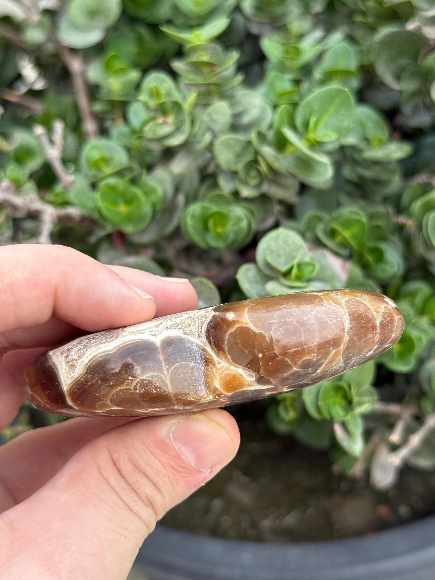 Septarian Heart Crystal Natural Polished Dragon Stone (1028g)