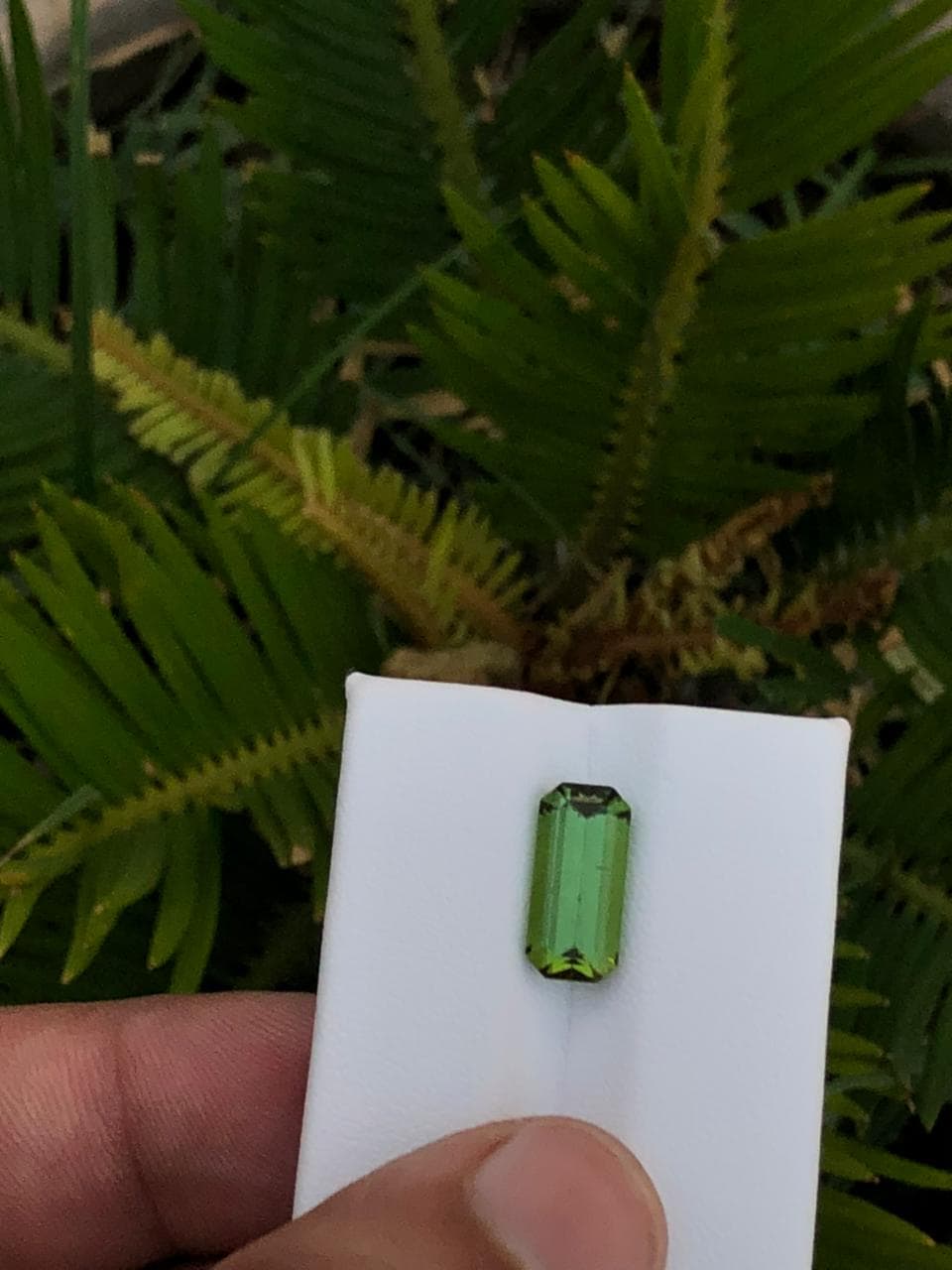 Natural Green Afghan Tourmaline Emerald Cut Loose Gemstone   Jewelry Supply or Collector Stone