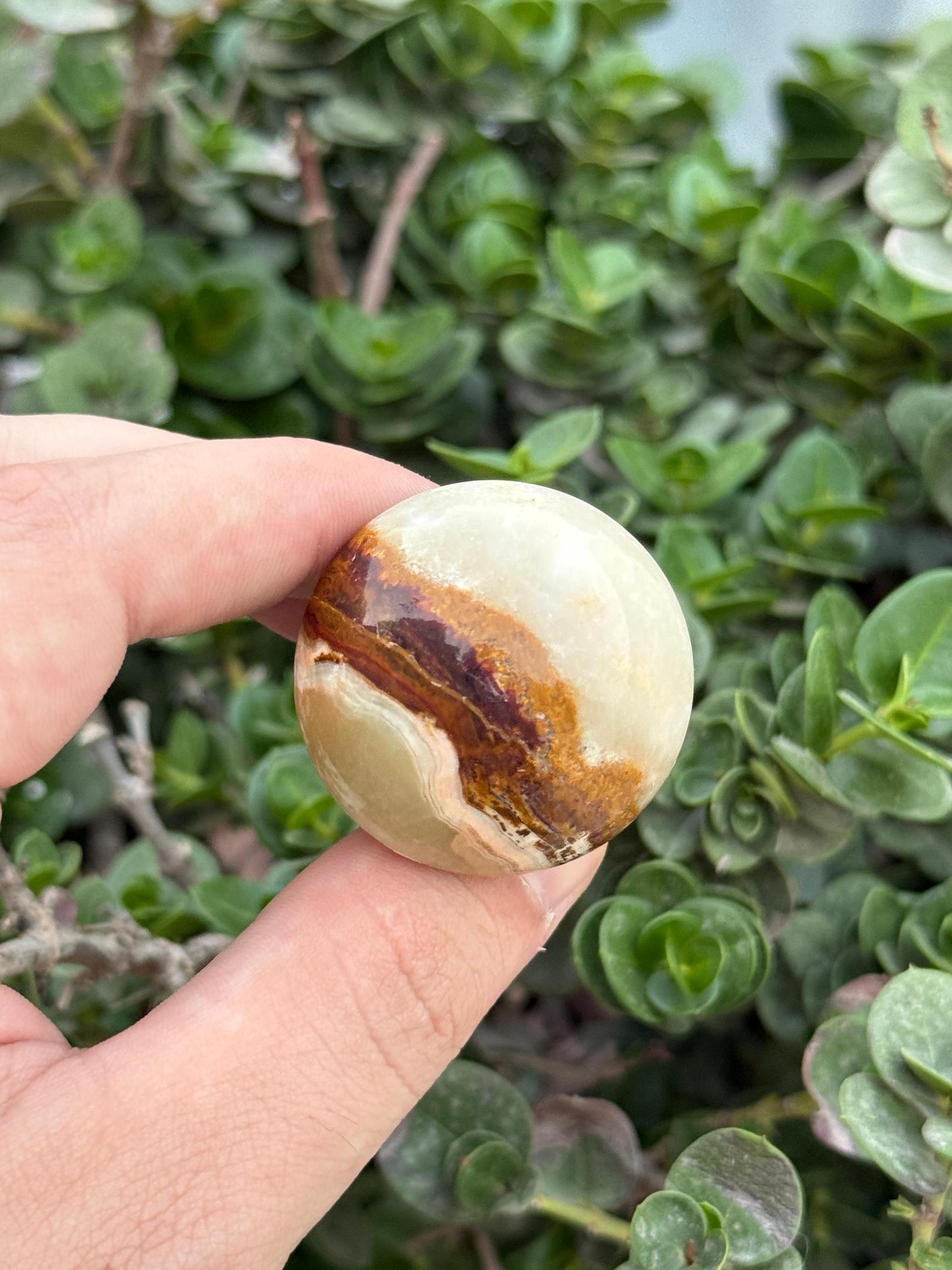 Natural Onyx Mushroom  Hand-Carved Crystal Decor  Healing Stone  Spiritual Gift