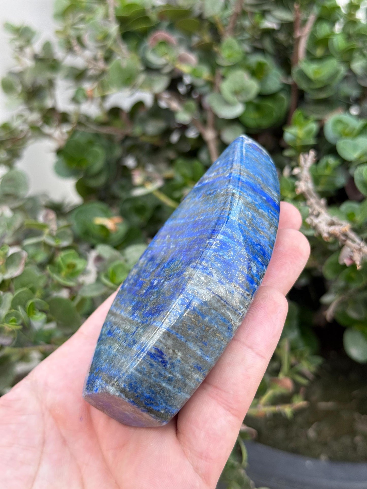 AAA Grade Lapis Lazuli Gemstone  2000 Carats Afghanistan Stone of Wisdom