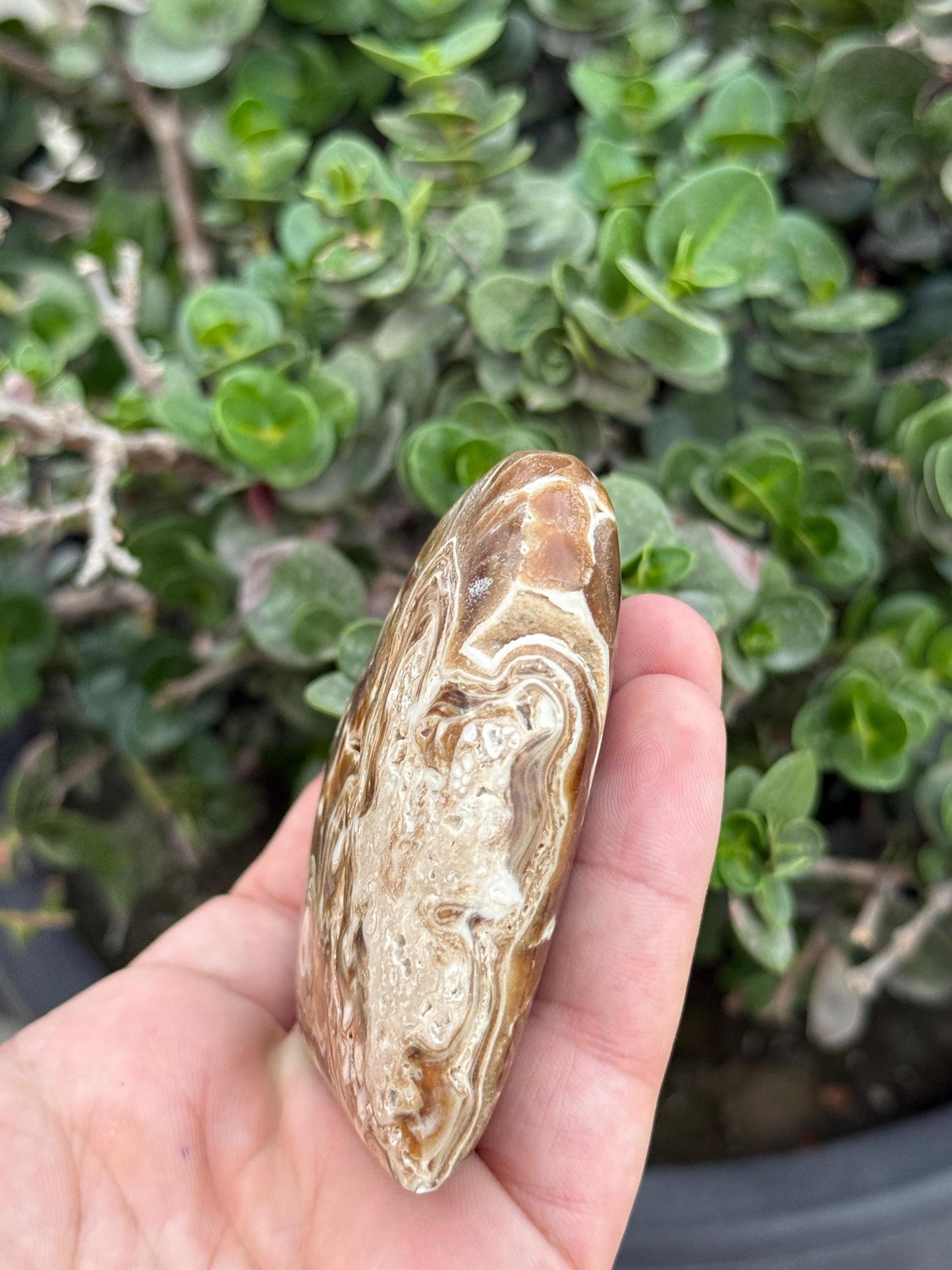 Septarian Heart Crystal Natural Polished Dragon Stone (1028g)