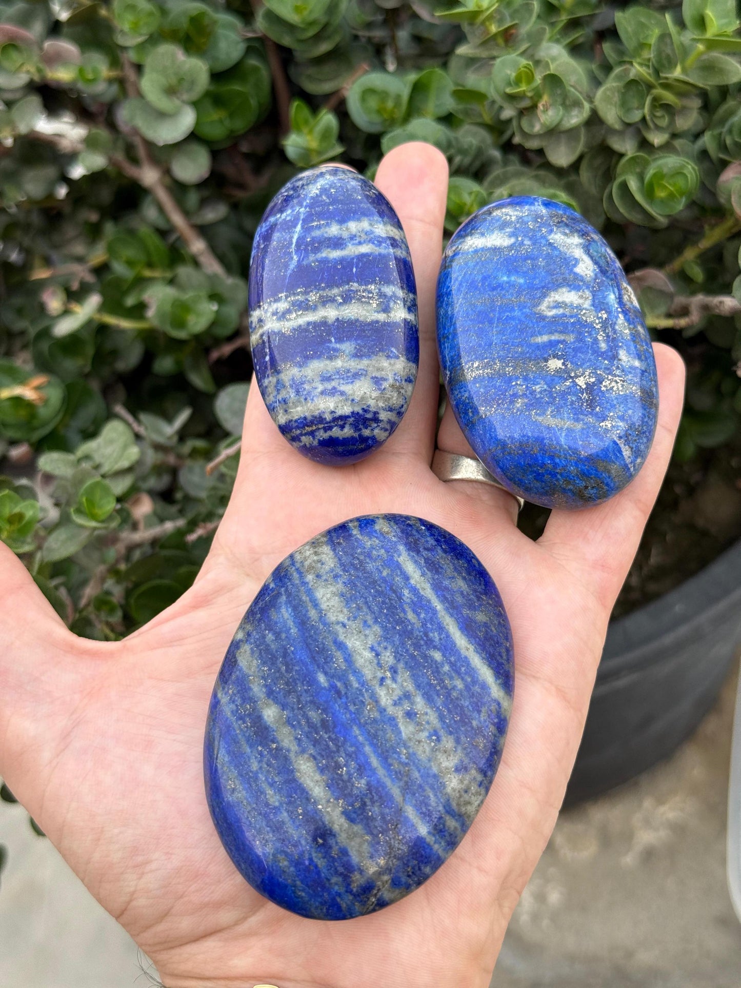Lapis Lazuli Stone Set: Polished Blue Crystals for Meditation Home Decor