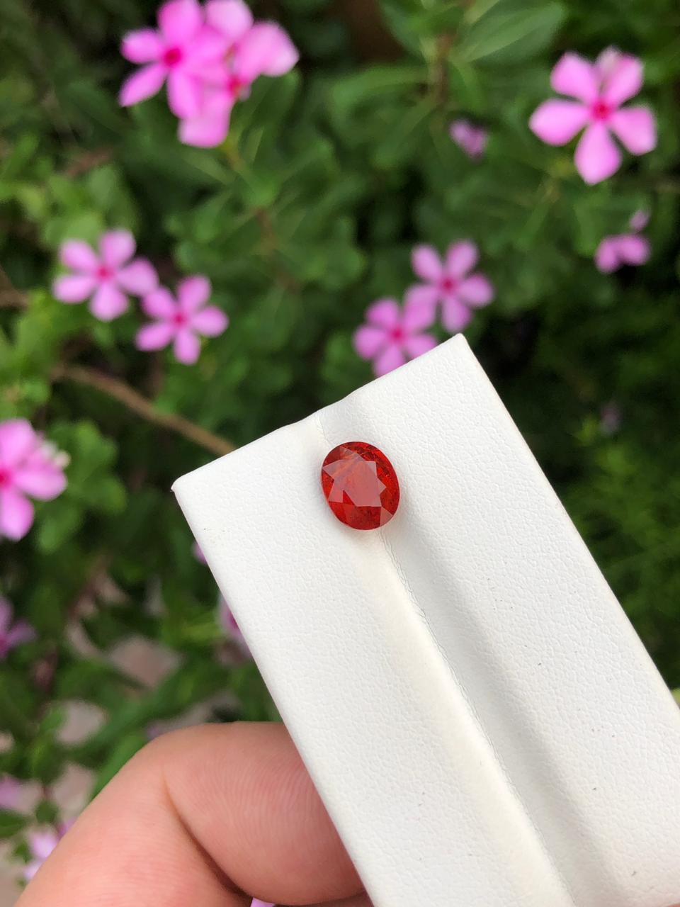 Natural Spessartite Garnet Gemstone  Faceted Oval  Orange Garnet for Custom Jewelry  Collectors