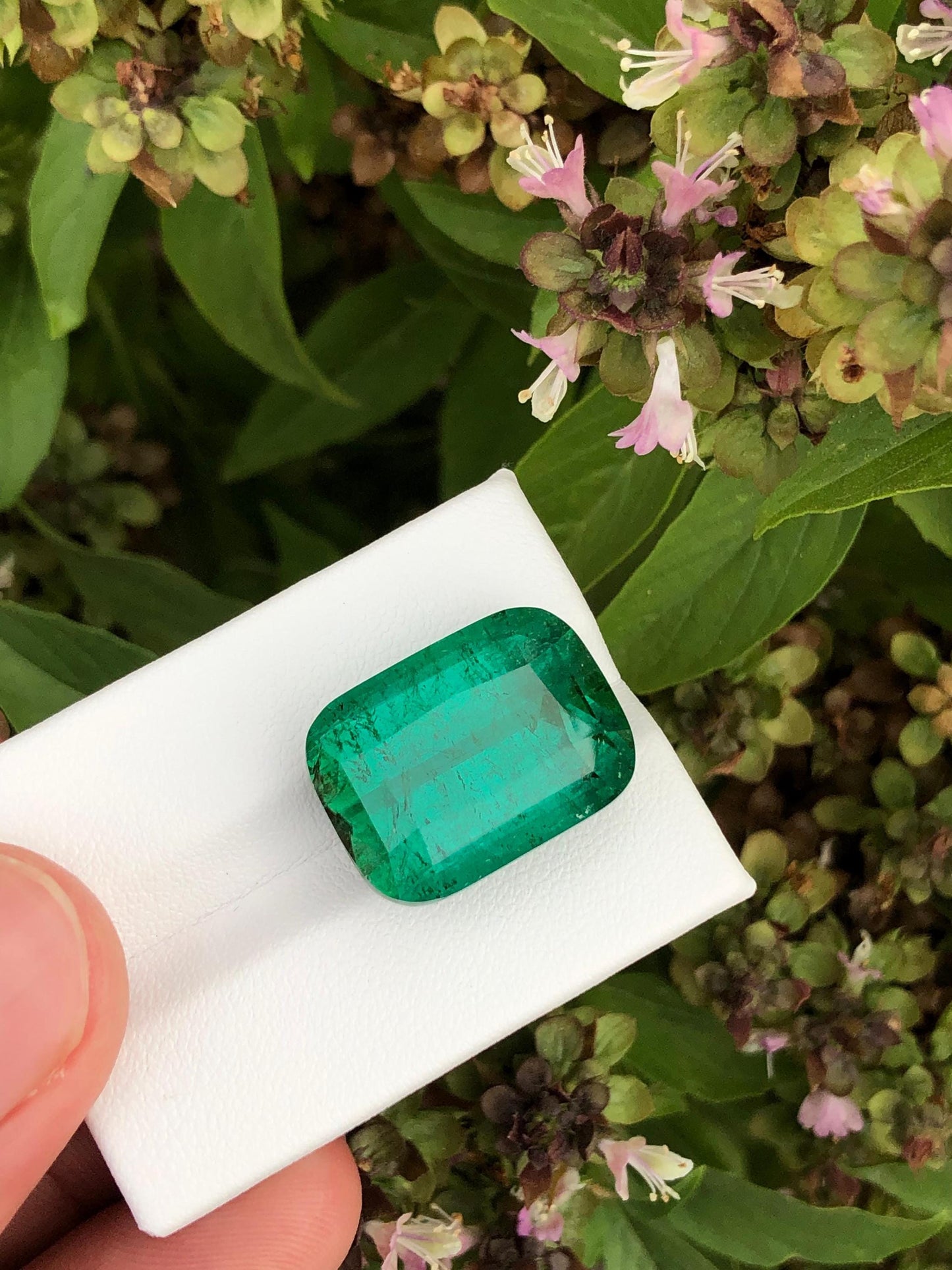 Natural Tourmaline  Loose Gemstone  Faceted Crystal for Custom Fine Jewelry