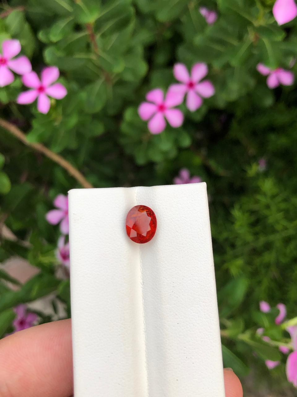 Natural Spessartite Garnet Gemstone  Faceted Oval  Orange Garnet for Custom Jewelry  Collectors