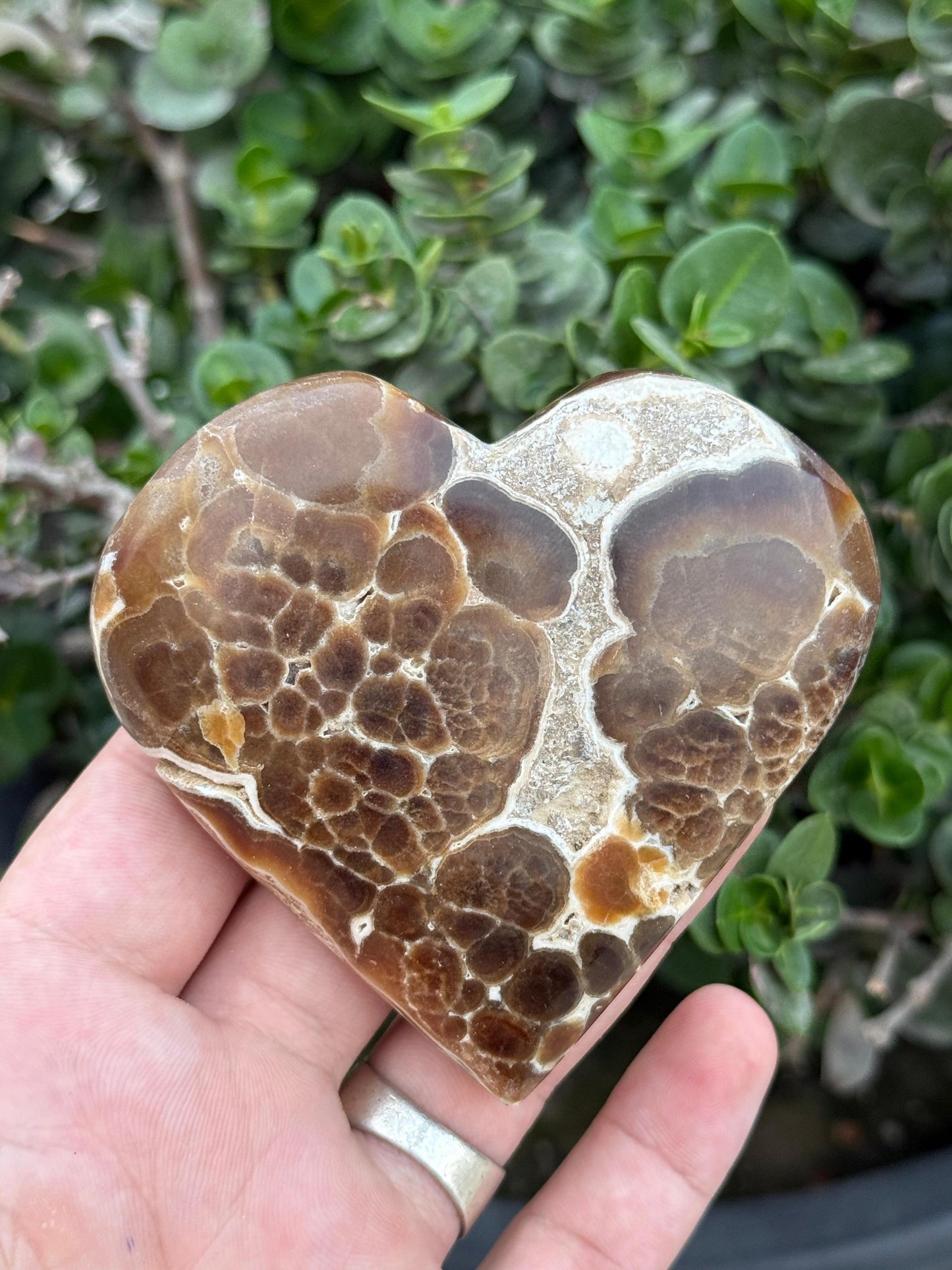 Septarian Heart Crystal Natural Polished Dragon Stone (1028g)