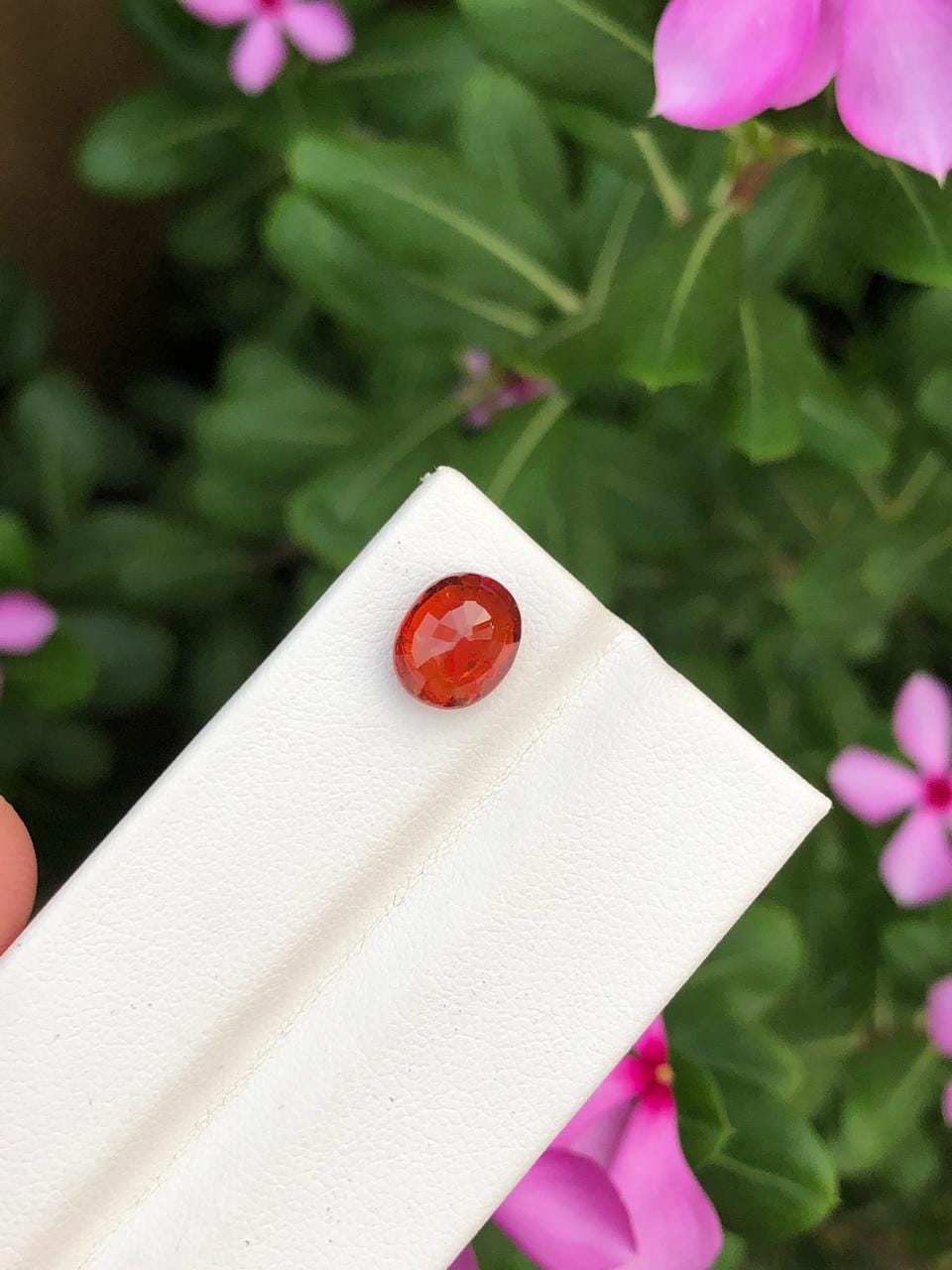 Natural Spessartite Garnet Gemstone  Faceted Oval  Orange Garnet for Custom Jewelry  Collectors