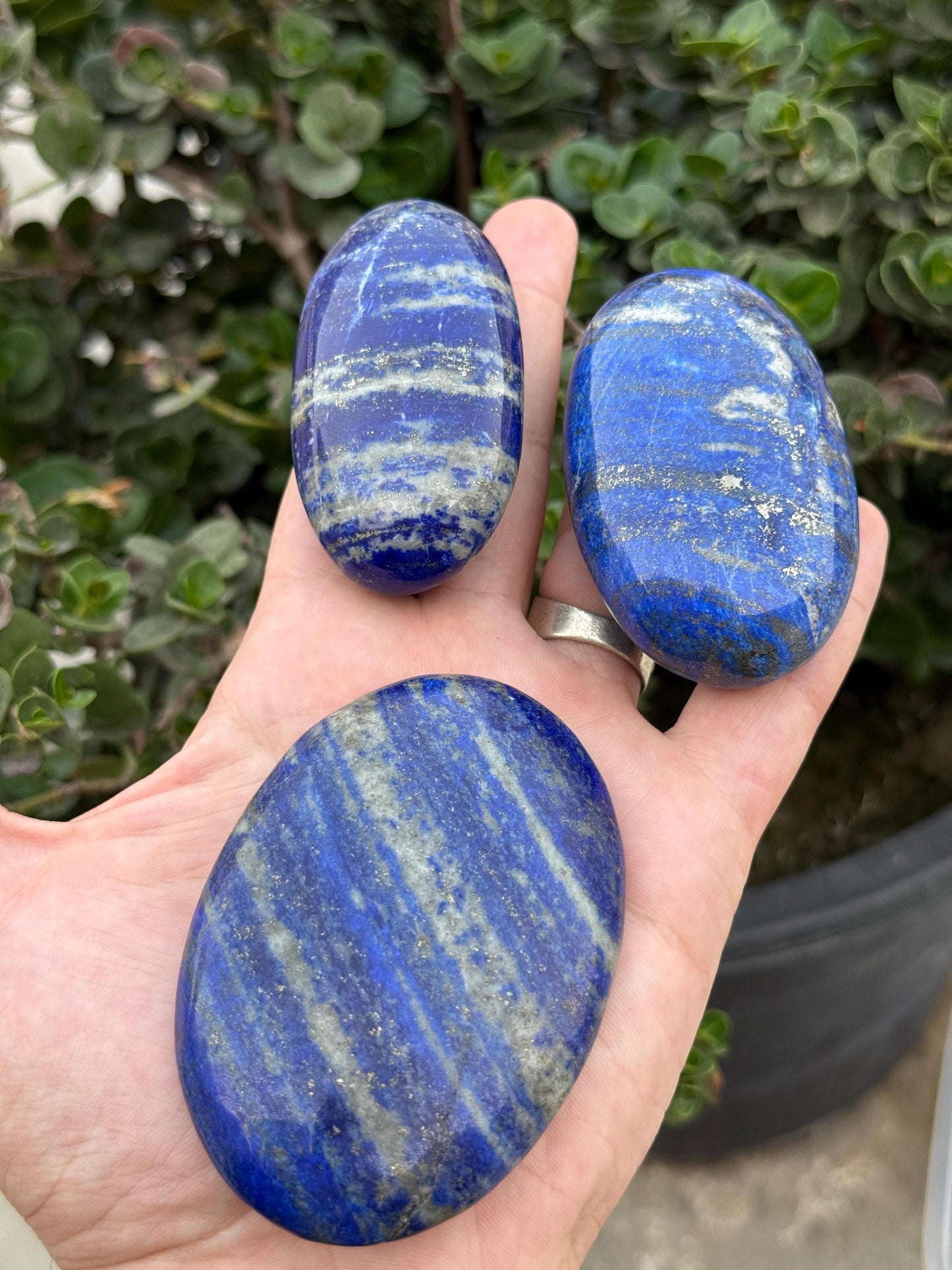 Lapis Lazuli Stone Set: Polished Blue Crystals for Meditation Home Decor