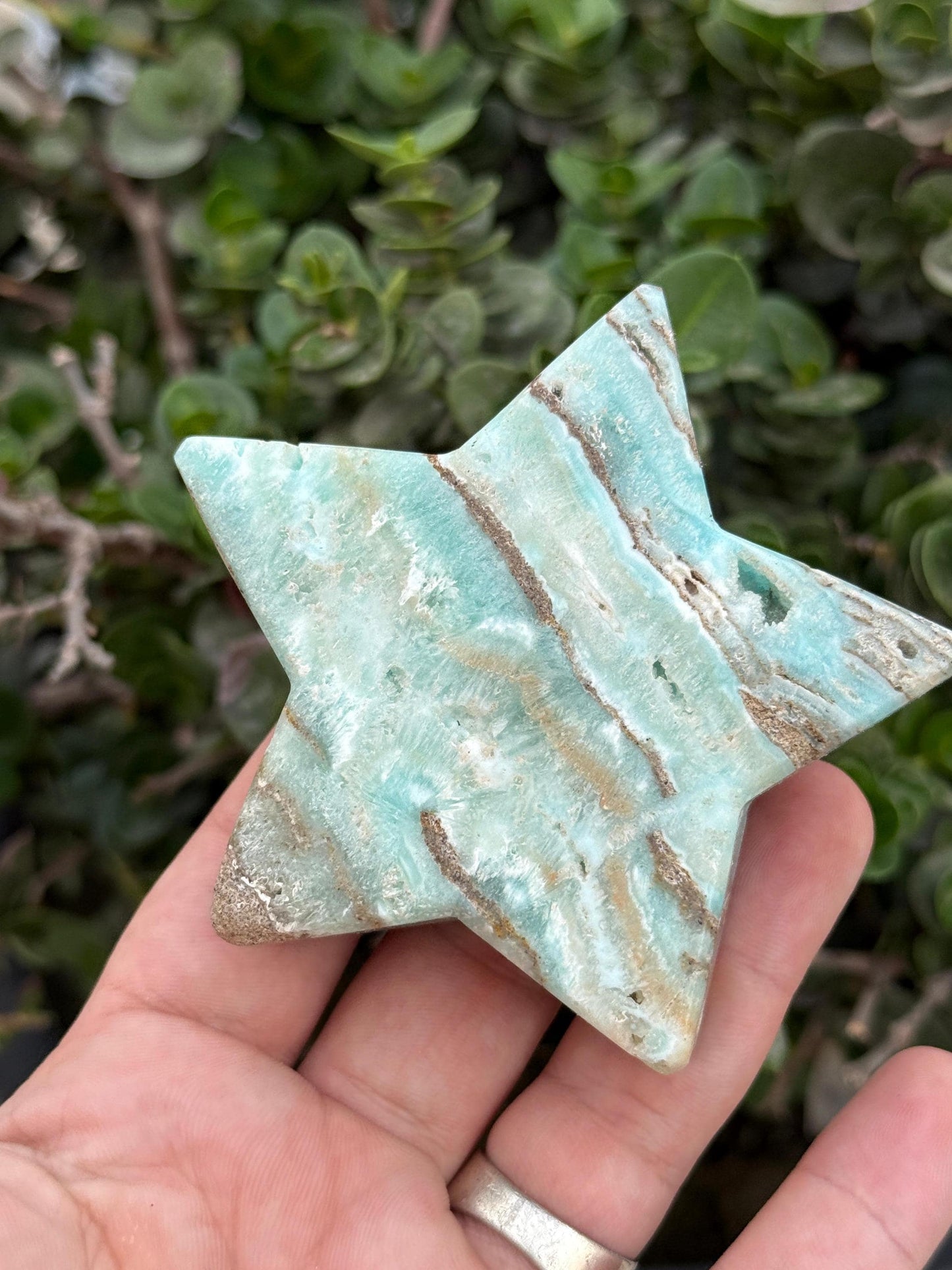 Natural Amazonite Star Polished Crystal Stone Healing Gem Celestial Decor from Pakistan