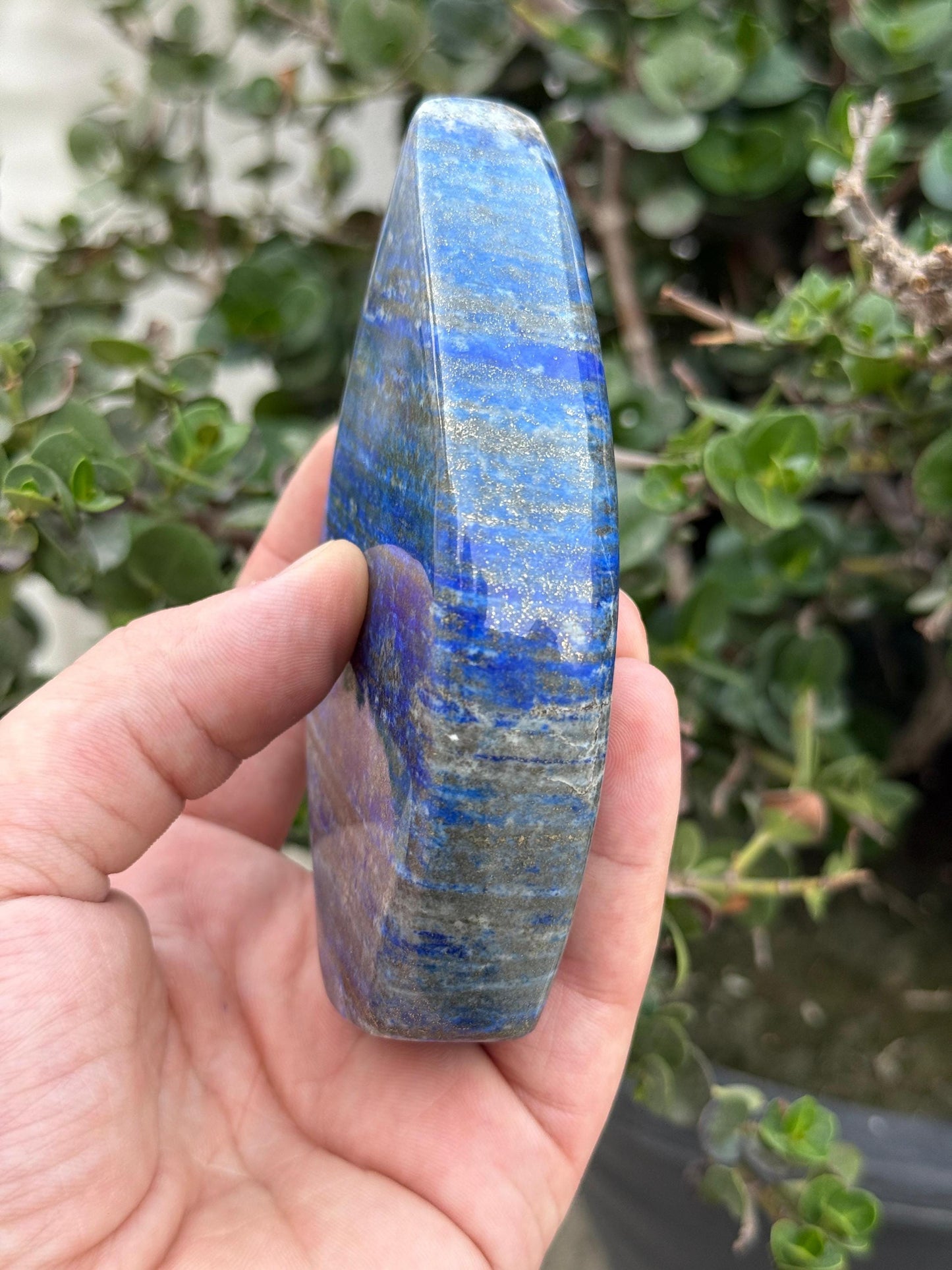 AAA Grade Lapis Lazuli Gemstone  2000 Carats Afghanistan Stone of Wisdom