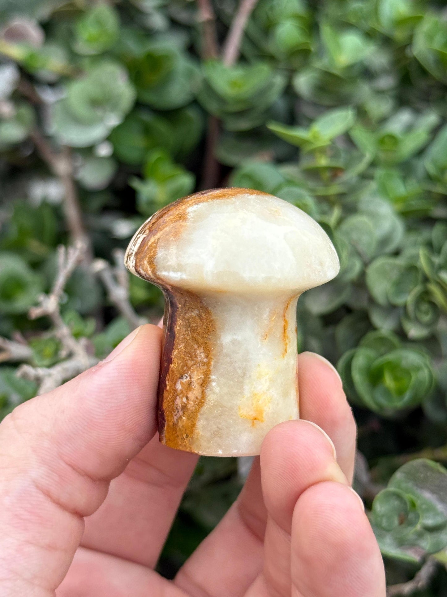 Natural Onyx Mushroom  Hand-Carved Crystal Decor  Healing Stone  Spiritual Gift