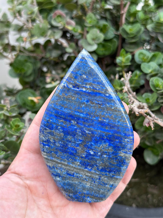 AAA Grade Lapis Lazuli Gemstone  2000 Carats Afghanistan Stone of Wisdom