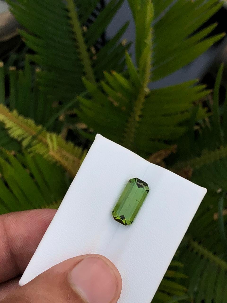 Natural Green Afghan Tourmaline Emerald Cut Loose Gemstone   Jewelry Supply or Collector Stone